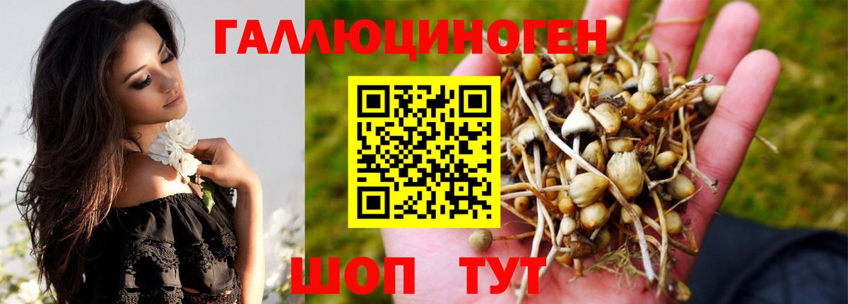 Псилоцибиновые грибы ЛСД Сланцы